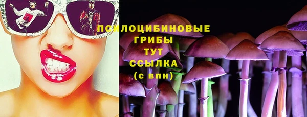 сатива Алзамай