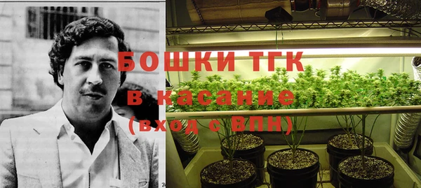 сатива Алзамай