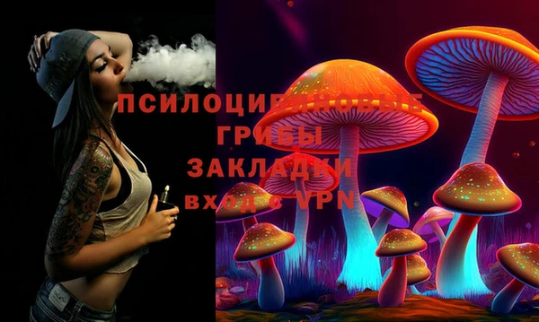 сатива Алзамай