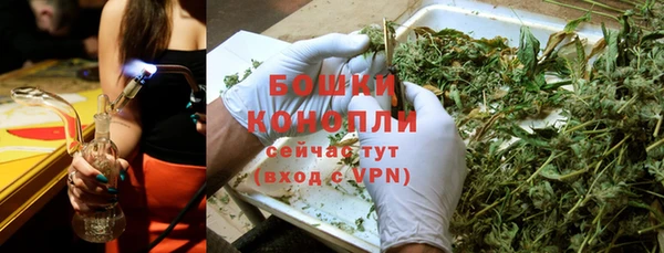 спайс Галич