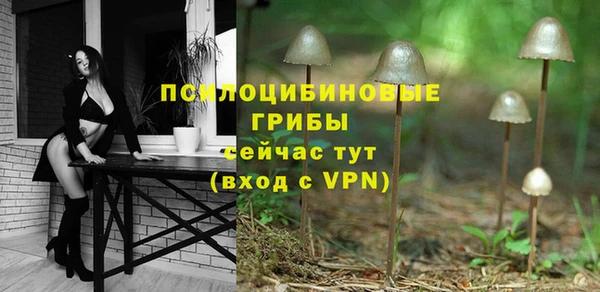 индика Алексеевка