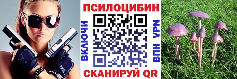 Псилоцибиновые грибы ЛСД Боровичи