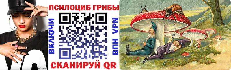 Псилоцибиновые грибы Psilocybine cubensis  Боровичи 