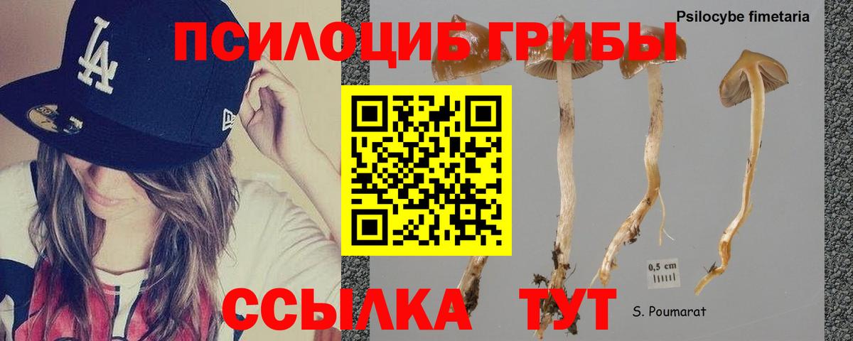 Боровичи  Галлюциногенные грибы мухоморы  Вход с VPN 